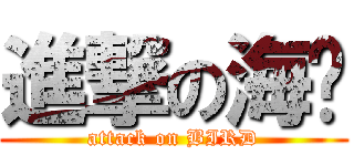 進撃の海ㄡ (attack on BIRD)