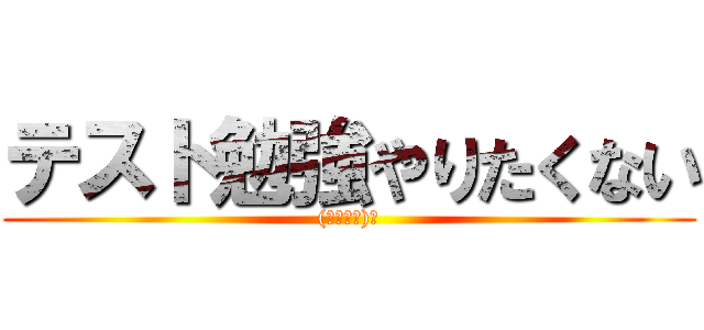 テスト勉強やりたくない ((｀・∀・)ﾉ)