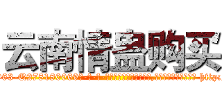 云南情蛊购买 (云南情蛊购买【电-186x2687x6963-Q278180069元-吉-药-业】我们做的是长期生意,靠的是老客户长期支持 http://sngk.net/0RXdak
)