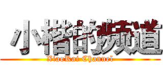 小楷的频道 (XiaoKai Channel)