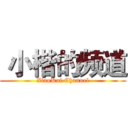  小楷的频道 (XiaoKai Channel)