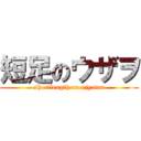 短足のウザヲ (shortlength on ujyatan)