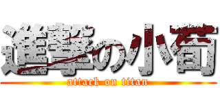 進撃の小荀 (attack on titan)