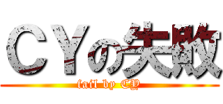 ＣＹの失敗 (fail by CY)