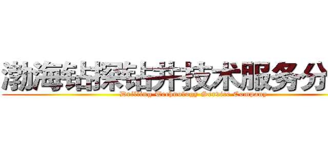 渤海钻探钻井技术服务分公司 (Drilling Technology Service Company)