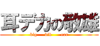 耳デカの敬雄 (big     bik      ear)