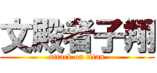 文殿者子翔 (attack on titan)