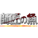 師匠の魚 (attack on titan)