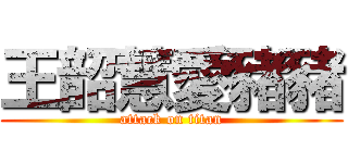 王韶慧愛豬豬 (attack on titan)