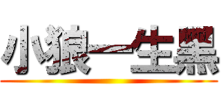 小狼一生黑 ()