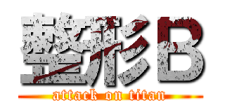 整形Ｂ (attack on titan)