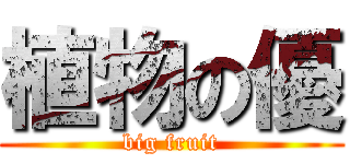 植物の優 (big fruit)