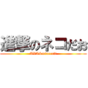 進撃のネコだお (AVA&minecrft)