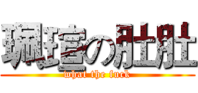 珮瑄の肚肚 (what the fuck)