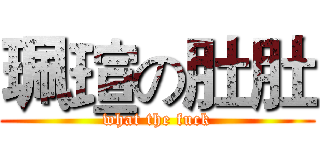 珮瑄の肚肚 (what the fuck)