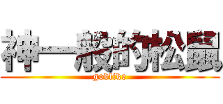神一般的松鼠 (godlike)