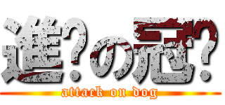 進擊の冠奶 (attack on dog)