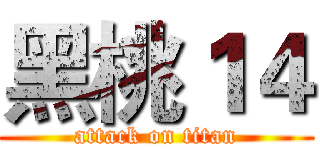 黑桃１４ (attack on titan)