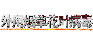 外用烟草花叶病毒 (外用烟草花叶病毒【电-186x2687x6963-Q278180069元-吉-药-业】我们做的是长期生意,靠的是老客户长期支持 http://sngk.net/OCdrLp
)