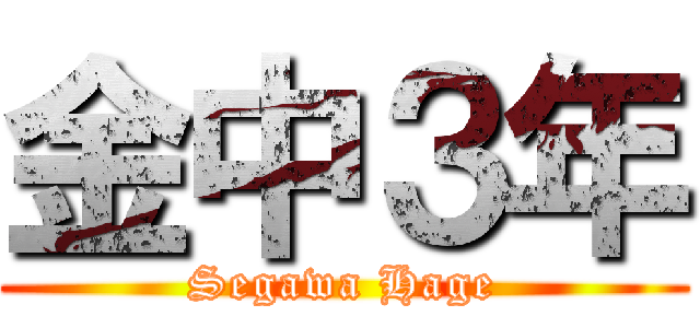 金中３年 (Segawa Hage)