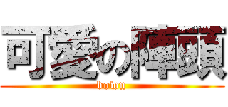 可愛の陣頭 (bown)