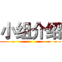 小组介绍 ()