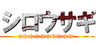 シロウサギ (hahahahahahahahahaha)