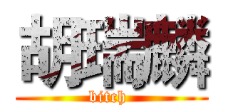 胡瑞麟 (bitch )