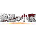 撤退の小鹿 (back on mikasa)