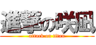 進撃の咲凪 (attack on titan)