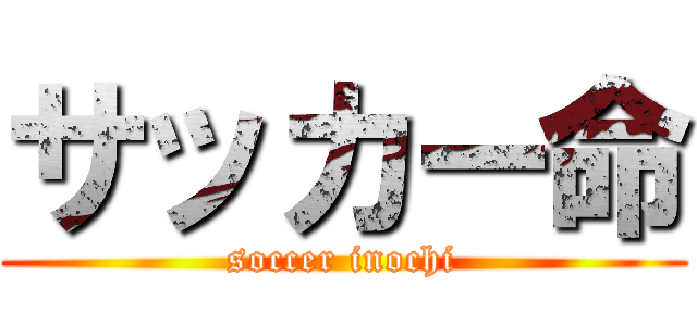 サッカー命 (soccer inochi)