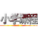 小学课程 (英语 奥数 作文)