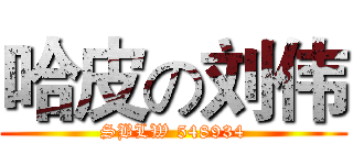 哈皮の刘伟 (SBLW 548934)