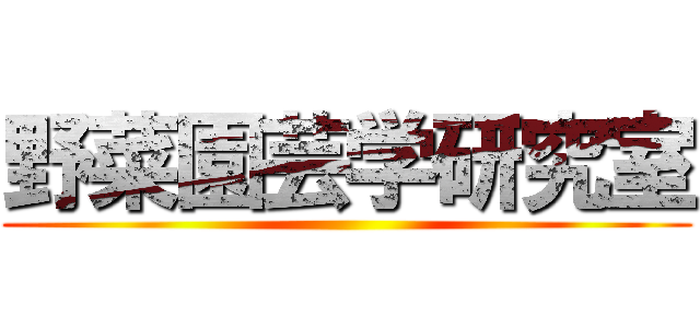野菜園芸学研究室 ()