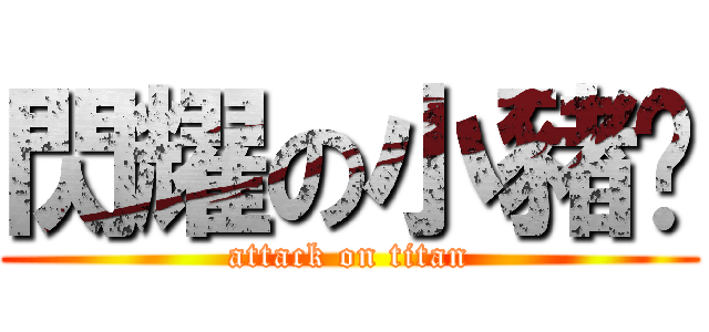 閃耀の小豬ㄦ (attack on titan)