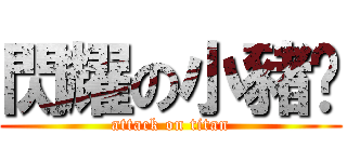 閃耀の小豬ㄦ (attack on titan)