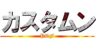 カスタムン (PDF)