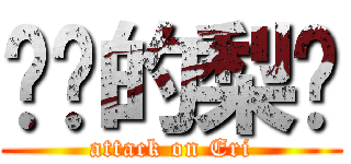 进击的梨总 (attack on Eri)