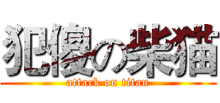 犯傻の柴猫 (attack on titan)