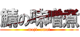 鯖の味噌煮 (maji  umai)