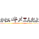 かわいキメェんだよ (attack on titan)