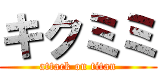キクミミ (attack on titan)