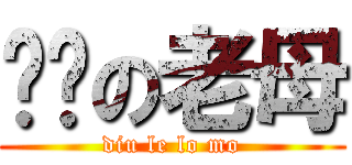 屌你の老母 (diu le lo mo)