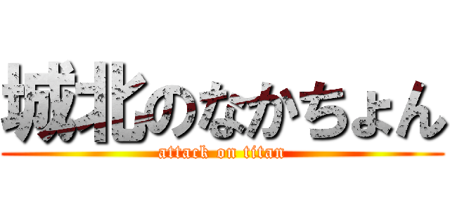 城北のなかちょん (attack on titan)