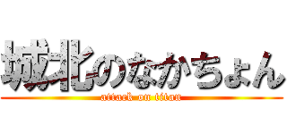 城北のなかちょん (attack on titan)