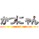 かつにゃん (cat)