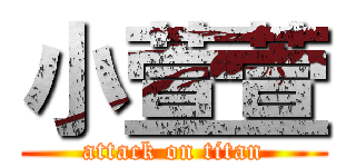 小萱萱 (attack on titan)