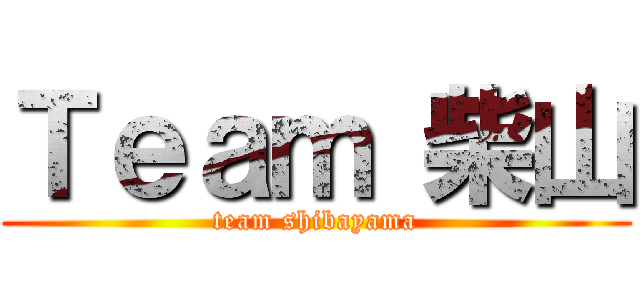 Ｔｅａｍ 柴山 (team shibayama)