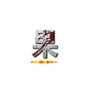 果 ()