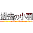 进击の小羽 (attack on titan)